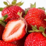 Strawberry albion - opis sorte